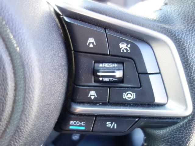 フォレスター アドバンス 禁煙車 ハーフレザーシート アイサイト 衝突被害軽減ブレーキ 4WD 純正SDナビ フルセグTV CD/DVD再生 Bluetooth接続 録音機能搭載 AUX接続 USB接続 バックカメラ ETC(32枚目)