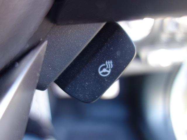 フォレスター アドバンス 禁煙車 ハーフレザーシート アイサイト 衝突被害軽減ブレーキ 4WD 純正SDナビ フルセグTV CD/DVD再生 Bluetooth接続 録音機能搭載 AUX接続 USB接続 バックカメラ ETC(75枚目)