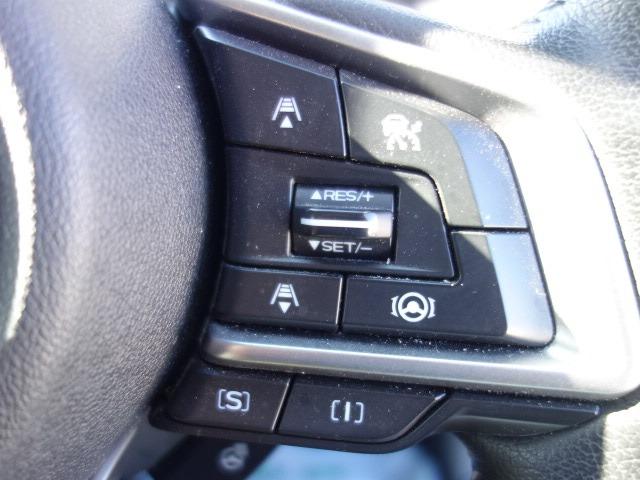 フォレスター ツーリング　禁煙車　アイサイト　４ＷＤ　ハーフレザーシート　純正メモリーナビ　フルセグＴＶ　ＣＤ／ＤＶＤ再生　Ｂｌｕｅｔｏｏｔｈ接続　バックカメラ　ＥＴＣ　スマートキー　パワーバックドア　デジタルインナーミラー（32枚目）