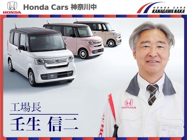 Ｎ－ＢＯＸ ＥＸ・ターボ　ＥＴＣ　ＨｏｎｄａＳＥＮＳＩＮＧ　助手席スーパースライドシート　オートリトラミラー　運転席助手席シートヒーター　ギャザズ純正ナビ　バックカメラ　前後ドラレコ　両側電動スライドドア　サイドエアバック（46枚目）