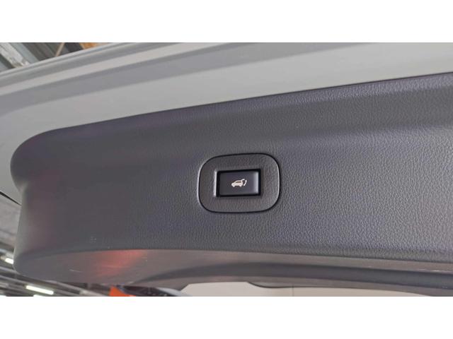 エルグランド ＶＩＰ（19枚目）