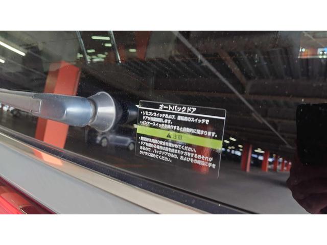 エルグランド ＶＩＰ（22枚目）