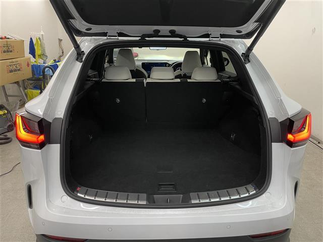 ＮＸ ＮＸ３５０ｈ　Ｆスポーツ（37枚目）