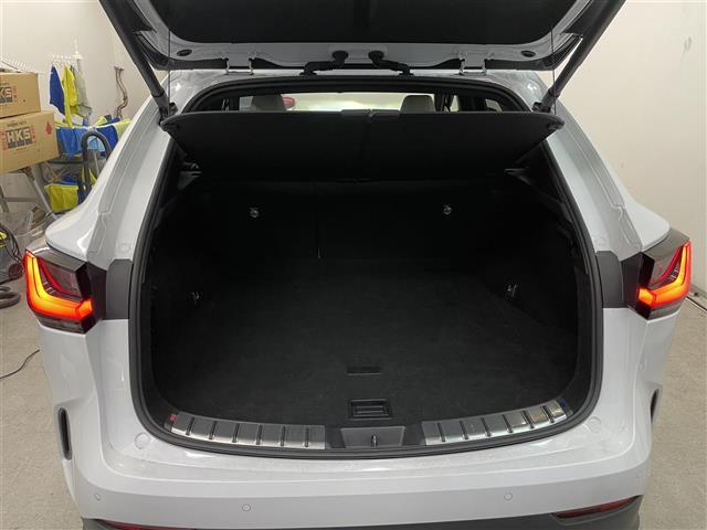 ＮＸ ＮＸ３５０ｈ　Ｆスポーツ（38枚目）