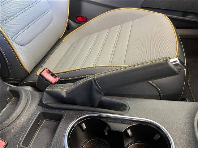 ザ・ビートル デューン(13枚目)