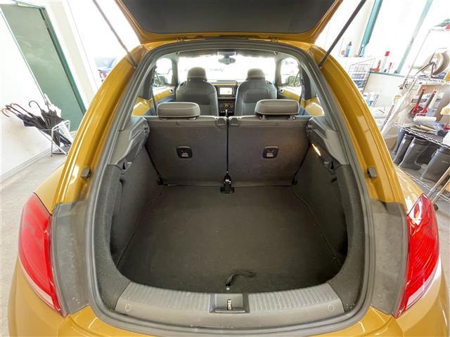 ザ・ビートル デューン(28枚目)