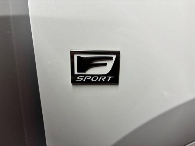 NX NX350h Fスポーツ ワンオーナー 禁煙車 パノラマムーンルーフ Fスポーツオレンジキャリパー パノラミックビューモニター デジタルインナーミラー パワーバックドア(17枚目)