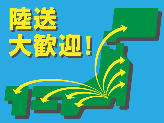 デッキバン 記録簿/新品ナビTV/社外スピーカー/社外オーディオ/社外アルミ/メッキミラー/バイザー/ETC/スペアキー/USB入力/AUX(74枚目)