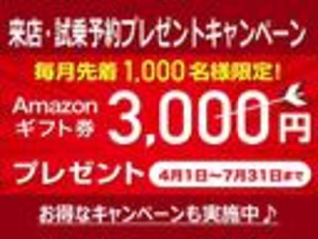 リミテッドII ナビTV ETC バックカメラ スマートキー(25枚目)
