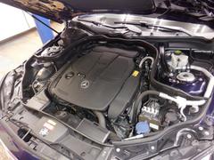 礻ϡޤǤڤˤ礻ǯ̵٤ǱĶȤƤޤåհƱꤪԤ夲Ƥޤ 6