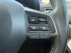 ������®�ɽ���ǽ�ե��롼������ȥ�����ۥ�������ڥ����Ƨ�ޤ��˰���μ�®�����ԤǤ��ޤ�����®ƻϩ���®����®�η����֤��ξ��ʤ���ư��ƻ�ʤɤ������Ǥ��� 7