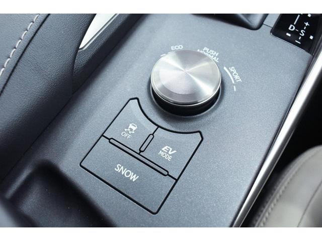 ＩＳ ＩＳ３００ｈ　バージョンＬ　本革・新品現行仕様スピンドルフェイス・新品アルミホイール・新品タイヤ・ＢＬＡＣＫカスタムライト・ＢＬＡＣＫカスタムテール・特別１年保証・走行無制限・レーダークルーズ・パドルシフト・Ｂｌｕｅｔｏｏｔｈ（50枚目）