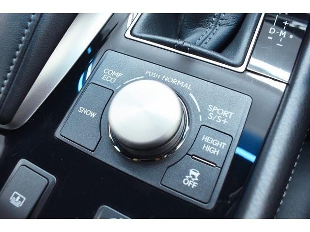 LS LS460 Fスポーツ 黒革・マクレビ・TRD4本出しマフラー・特別1年保証・走行無制限・クルーズコントロール・クリアランスソナー・パワートランク・パドルシフト・音楽録音・DVD再生・地デジ・Bluetooth接続・ドラレコ(54枚目)