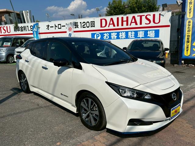 リーフ e+ X 全方位カメラ 純正メーカーナビ ブラインドスポットモニター ETC2.0 ドラレコ レーダー プロパイロット シートヒーター(37枚目)