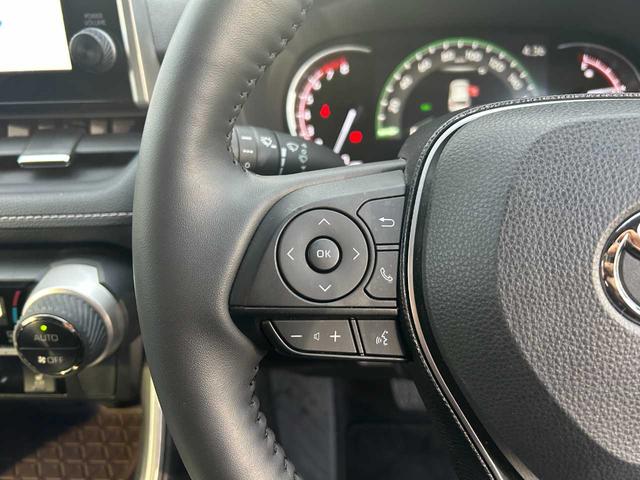 ＲＡＶ４ Ｇ　Ｚパッケージ　パノラマムーンルーフ　パノラミックビューモニター　ワンオーナー　セーフティセンス　レーダークルーズコントロール　ＢＳＭ　パワーバックドア　パワーシート　ステアリングヒーター　ＬＥＤヘッドライト（25枚目）