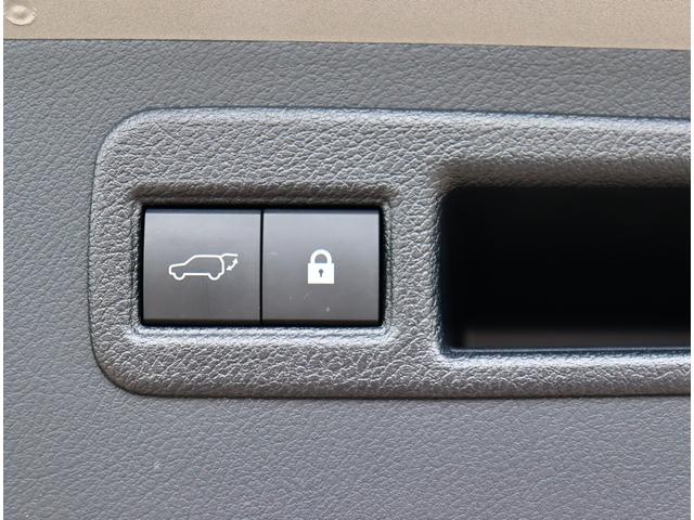 ＮＸ ＮＸ３００　バージョンＬ　後期型　赤革エアシート　純正ワイドナビ　パノラミックビュー　パノラマガラスルーフ　セーフティシステム＋　レーダークルーズ　コーナーセンサー　パワーゲート　置くだけ充電　後席シートヒーター　３眼ＬＥＤ（20枚目）