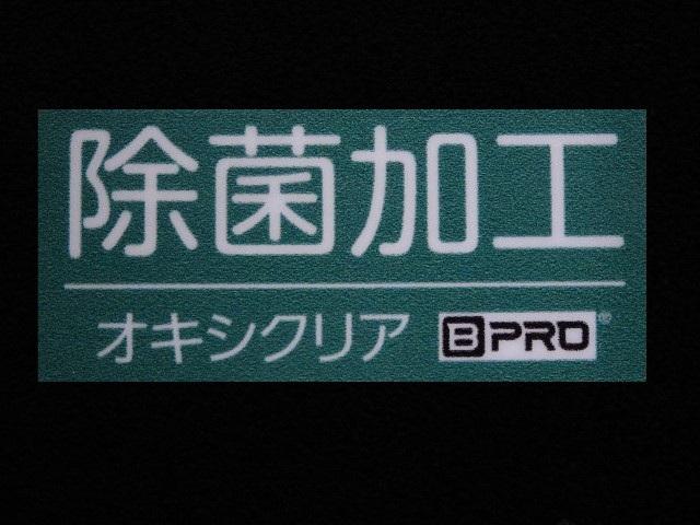 Sスタイルブラック ワンオーナー スマートキー メモリーナビ SDナビゲーション バックガイドモニター LEDヘッドライト ワンセグTV ETC(20枚目)