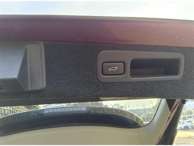 RX RX270 バージョンL 盗難警報装置 ETC付き ムーンルーフ バックモニター AAC ミュージックプレイヤー接続可 地デジ AC100V オートクルーズ LEDヘッドライト カーテンエアバック ABS DVD再生 キーレス(15枚目)