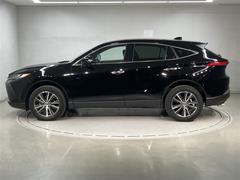 �ϥꥢ�� �ǡ���󥪡��ʡݡ���䥫��顡�����ȥ��롼�����ɥ�쥳�դ� 0551549A20260131T001 2