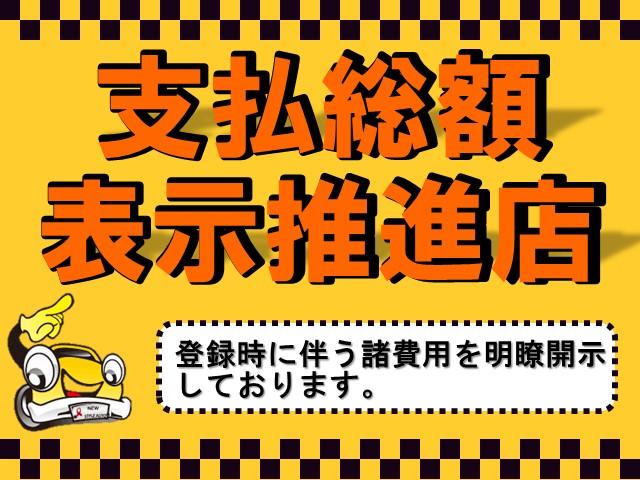 FX-Sリミテッド /禁煙車/カーナビ/TV/ETC/CD/インテリキー/プッシュスタート/HIDライト/エンジンオイル&補機ベルト全数&バッテリー新品(3枚目)