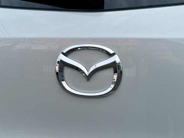 ＣＸ－３ ２０Ｓ　プロアクティブ　／１年保証／禁煙車／点検記録簿／半革シート／純正エアロ／ナビ／バックカメラ／ＥＴＣ／Ｂｌｕｅｔｏｏｔｈ／ＡＵＸ＆ＵＳＢ入力／障害物センサー／衝突軽減ブレーキ／ブラインドスポットモニター／ＬＥＤライト（16枚目）