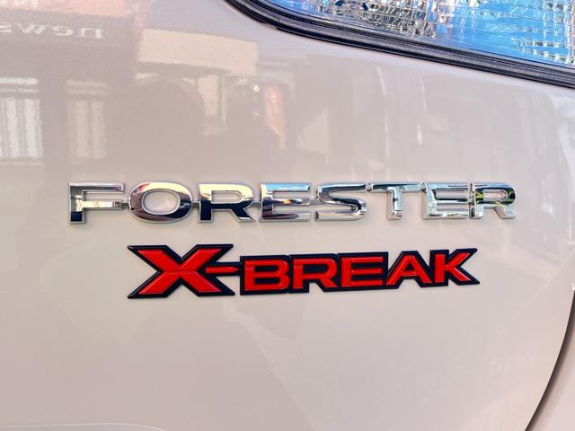 フォレスター Ｘ－ブレイク　／１オーナー／１年保証／禁煙車／アイサイト３／前後ドライブレコーダー／デジタルインナーミラー／前後サイドカメラ／前後ソナー／ＳＲＨ／ＡＶＨ／ＡＣＣ／ＬＥＤライト／ナビＴＶ／Ｂｌｕｅｔｏｏｔｈ／ＥＴＣ（32枚目）