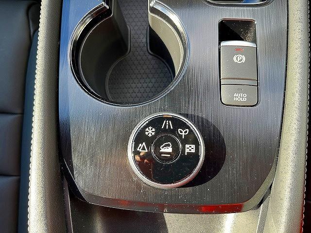 エクストレイル G e-4ORCE G-e4ORCE_ナビ/TV_PWバックドア(23枚目)