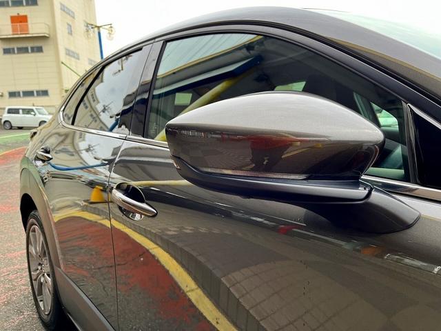 CX-30 20S プロアクティブ ツーリングセレクション フォワードセンシングカメラ アイドリングストップ 純正SDナビ フルセグ 360°モニター プッシュスタート キーフリー 運転席パワーシート 前席シートヒーター MTモードAT パワーバックドア(31枚目)