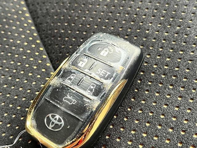 ヴェルファイア ２．５Ｚ　Ａエディション　ゴールデンアイズ（18枚目）