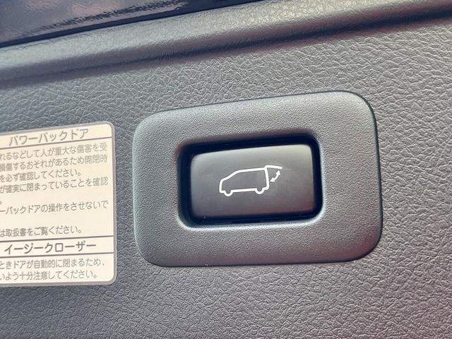 ヴェルファイア ２．５Ｚ　Ａエディション　ゴールデンアイズ（20枚目）