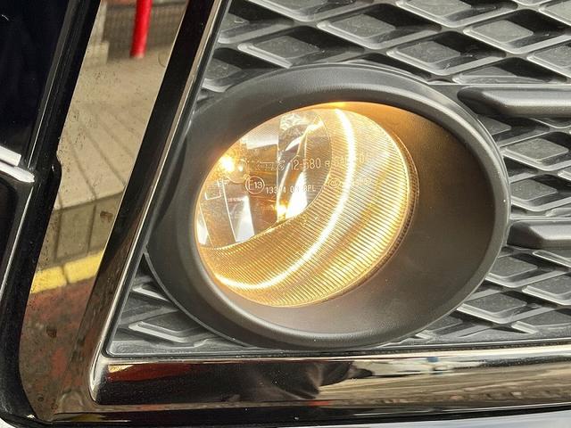 ヴェルファイア ２．５Ｚ　Ａエディション　ゴールデンアイズ（31枚目）