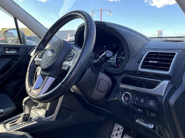 フォレスター Ｓ－リミテッド　カロッツェリアナビ　フルセグ　バックカメラ　４ＷＤ　パワーバックドア　ＬＥＤヘッドライト　アイサイト　パワーシート　ドライブレコーダー　キーフリー　プッシュスタート　レーダークルーズコントロール（7枚目）