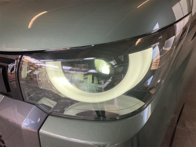 デリカミニ T プレミアム(48枚目)