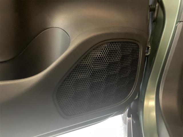 デリカミニ T プレミアム(66枚目)