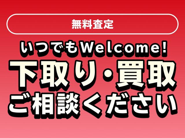 フォレスター スタイルモダン　ｉーＬ　４ＷＤ　アイサイトＶｅｒ３　ナビ　地デジ　ＣＤ再生　ＤＶＤ再生　Ｂｌｕｅｔｏｏｔｈ　ＥＴＣ　バックカメラ　スマートキー　パワーシート　シートヒーター　衝突軽減ブレーキ　アルミ　記録簿（63枚目）