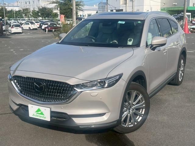 ＣＸ－８ ＸＤ　エクスクルーシブモード　全国１年保証・ワンオーナー・サンルーフ・ホワイトレザーシート・ＥＴＣ・３６０°カメラ・地デジＴＶ・パワーバックドア・パワーシート・シートメモリー・シートヒーター＆クーラー・スペアキー・（47枚目）