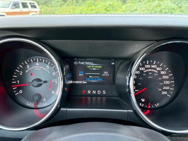 FORD MUSTANG 50 YEARS EDITION