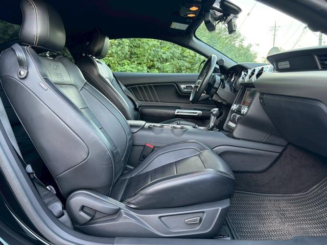 FORD MUSTANG 50 YEARS EDITION