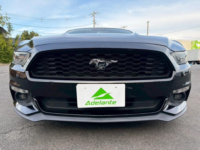 FORD MUSTANG 50 YEARS EDITION