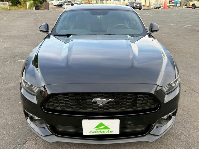 FORD MUSTANG 50 YEARS EDITION