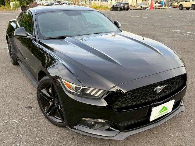 FORD MUSTANG 50 YEARS EDITION