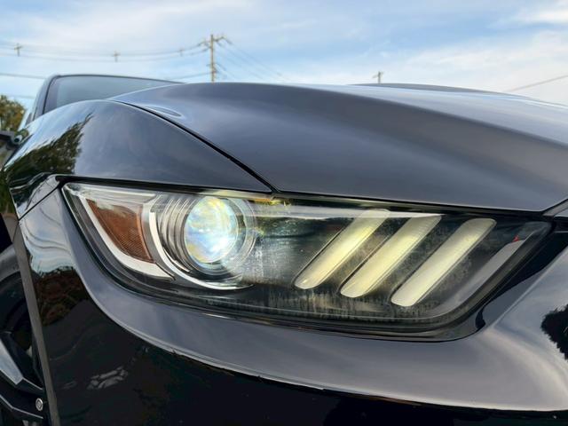 FORD MUSTANG 50 YEARS EDITION