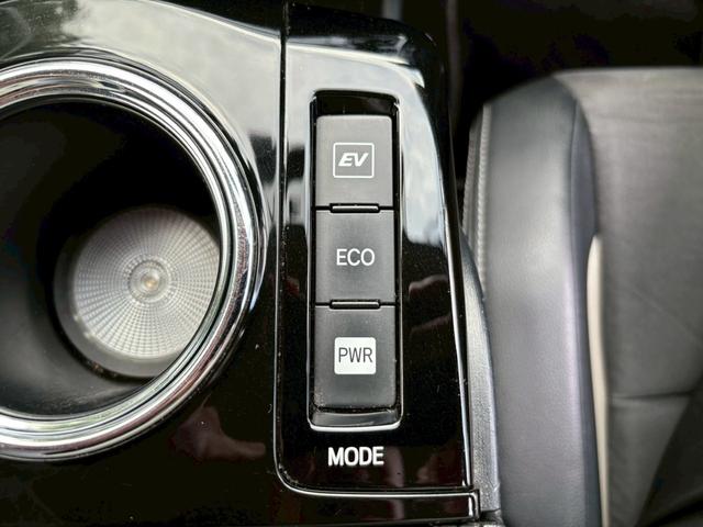 プリウスアルファ Sツーリングセレクション・GRスポーツ 全国1年保証・ユーザー買取車両・純正ナビ・地デジTV・バックカメラ・ハーフレザーシート・ETC2.0・社外19インチアルミ・車高調・スマートキー・プッシュスタート・LEDヘッドライト・フォグ(20枚目)