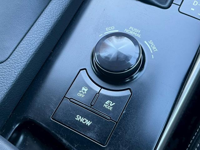 ＩＳ ＩＳ３００ｈ　全国１年保証・ＢＢＳホイール・純正ナビ・バックカメラ・地デジＴＶ・ドライブレコーダー・Ｂｌｕｅｔｏｏｔｈ・ハーフレザーシート・ＥＴＣ・クルーズコントロール・ＬＥＤヘッドライト・フロントスポイラー（33枚目）