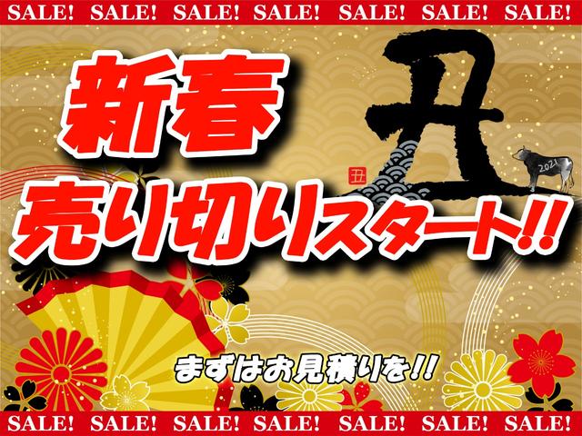 Gi レザーシート ツインモニター 両側自動ドア TSS(2枚目)