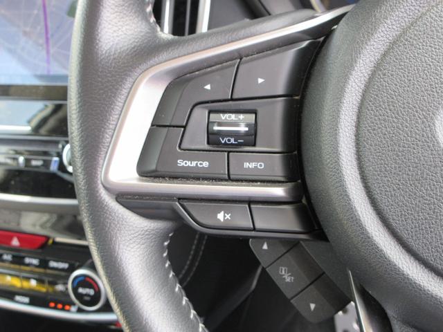 フォレスター アドバンス　４ＷＤ　純正ナビ　フルセグＴＶ　バックカメラ　サイドカメラ　ドライブレコーダー　ＥＴＣ　Ｂｌｕｅｔｏｏｔｈ　ＤＩＳＣ　ＵＳＢ　レーンキープアシスト　デジタルインナーミラー（23枚目）