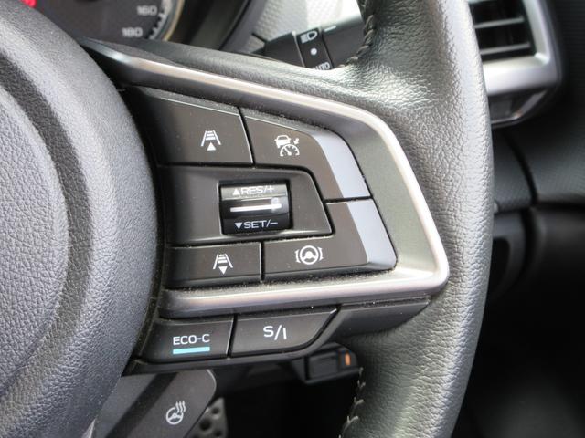フォレスター アドバンス　４ＷＤ　純正ナビ　フルセグＴＶ　バックカメラ　サイドカメラ　ドライブレコーダー　ＥＴＣ　Ｂｌｕｅｔｏｏｔｈ　ＤＩＳＣ　ＵＳＢ　レーンキープアシスト　デジタルインナーミラー（24枚目）