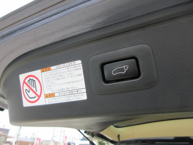 ヴェルファイアハイブリッド Ｖ　４ＷＤ　カロッツェリアナビ　フルセグＴＶ　バックカメラ　後席フリップダウンモニター　パワーバックドア　両側パワースライドドア　クルーズコントロール　ドラレコ　ＥＴＣ　パワーシート　ＬＥＤヘッドライト（19枚目）