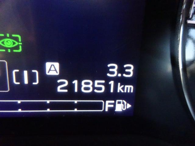 フォレスター アドバンス　４ＷＤ　サンルーフ　レザーシート　純正８インチナビ　フルセグＴＶ　パワーバックドア　サイドカメラ　バックカメラ　ドライブレコーダー　ＥＴＣ　Ｂｌｕｅｔｏｏｔｈ　ＤＩＳＣ　ＵＳＢ（22枚目）