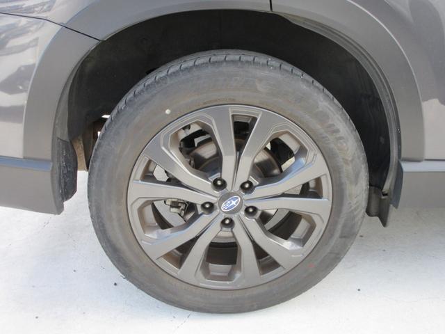 フォレスター Ｘ－エディション　４ＷＤ　アイサイト　純正８インチナビフルセグＴＶ　フロント＋サイド＋バックカメラ　パワーバックドア　アダプティブクルーズコントロール　ドラレコ　ＥＴＣ　シートヒーター　パワーシート　ＬＥＤヘッドライト（11枚目）